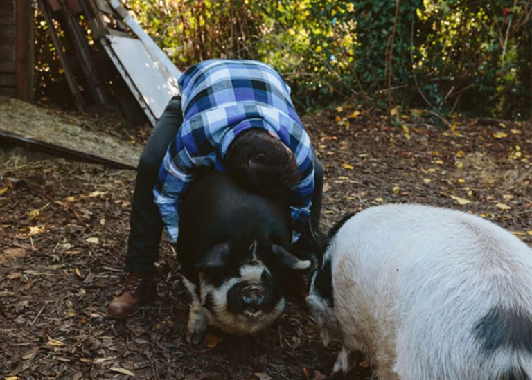 Today Is A Weird, Weird Day….So Are My Funny Farm Pets